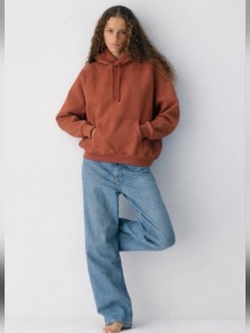 ARITZIA Cozy Boyfriend Sweatshirt Hoodie